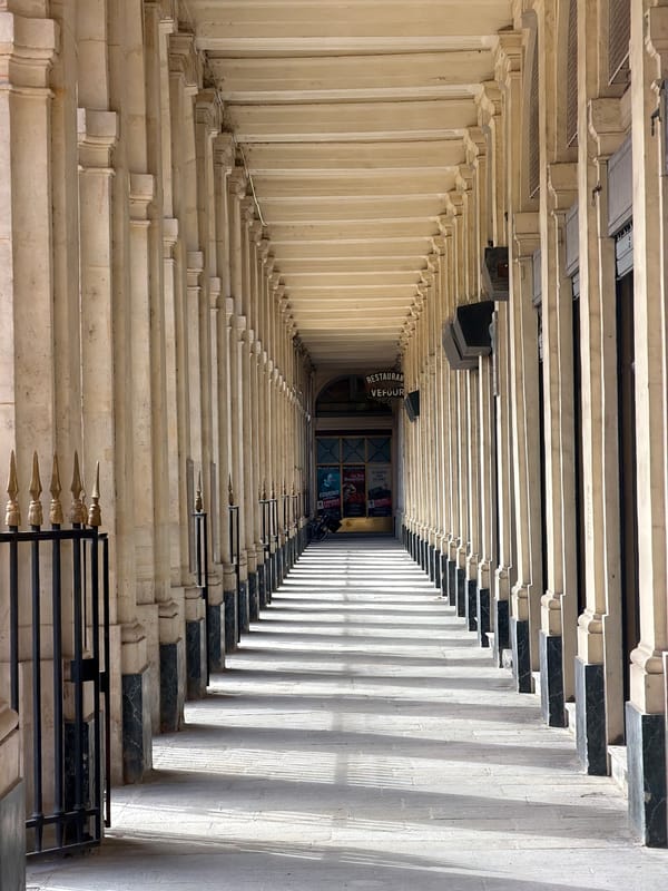 Unknown witness documents Parisian architecture and street life