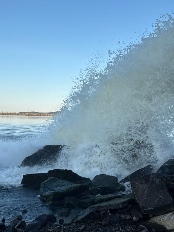 Water activity observed in Chernushka: waves and canal flow