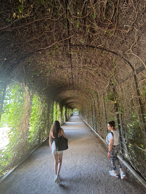 Morning walk through Schönbrunn Palace Gardens, Vienna