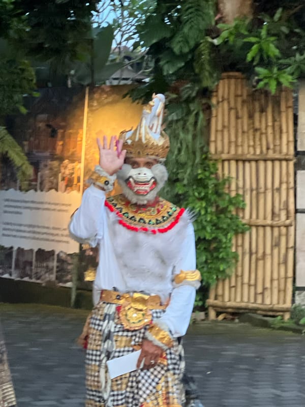 Daily life moments documented across Ubud District, Indonesia