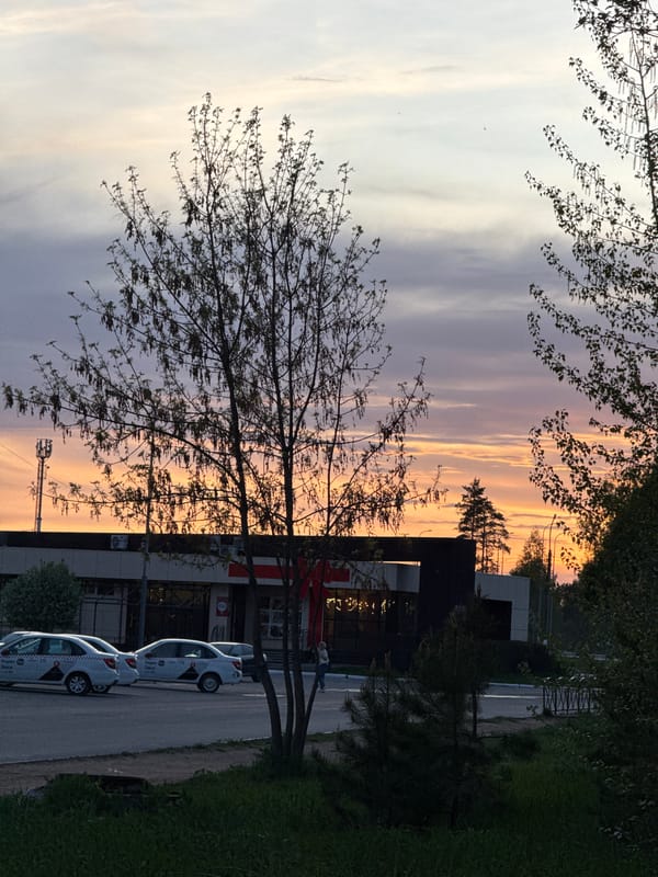 Urban sunset scene with blooming trees captured by witness