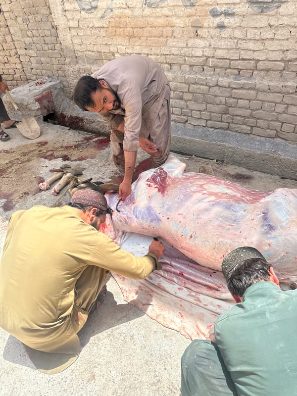 Men butcher large animal carcass in Quetta courtyard