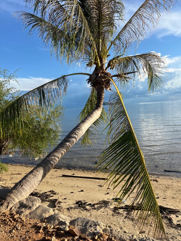 Beach palms, local hangouts, and old gas pumps on Koh Phangan