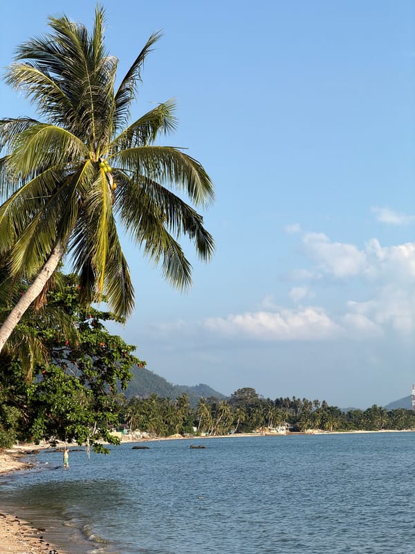 Mangroves, beach swings, and a fishing boat on Ko Samui's shore