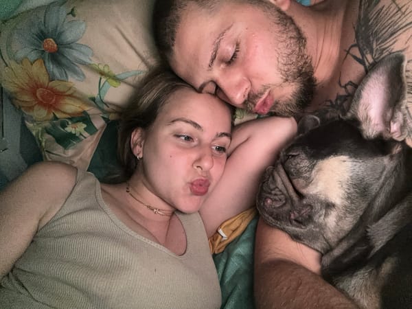 Cozy evening in bed with a French bulldog