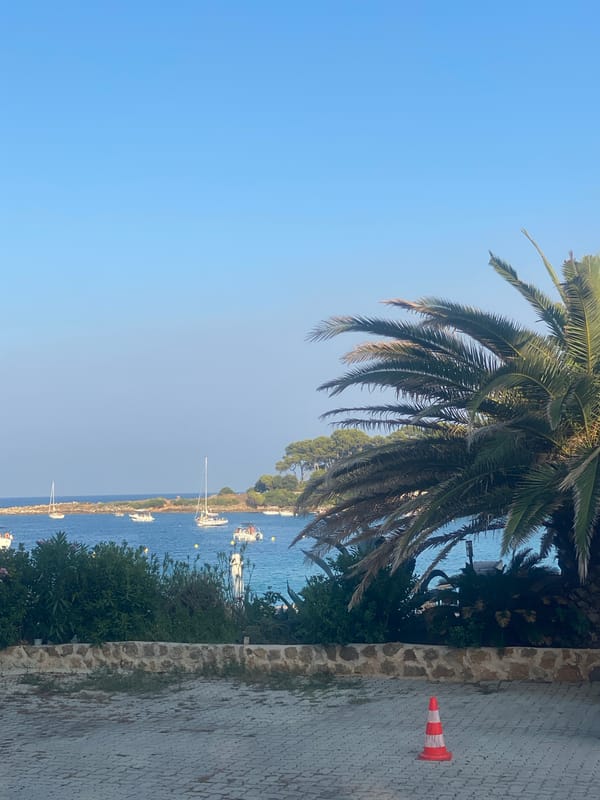 Quiet Cap d'Antibes streets, gated villas, and curious dogs