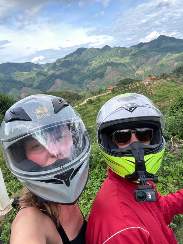 Tourists explore To Mua tea plantations during morning visit
