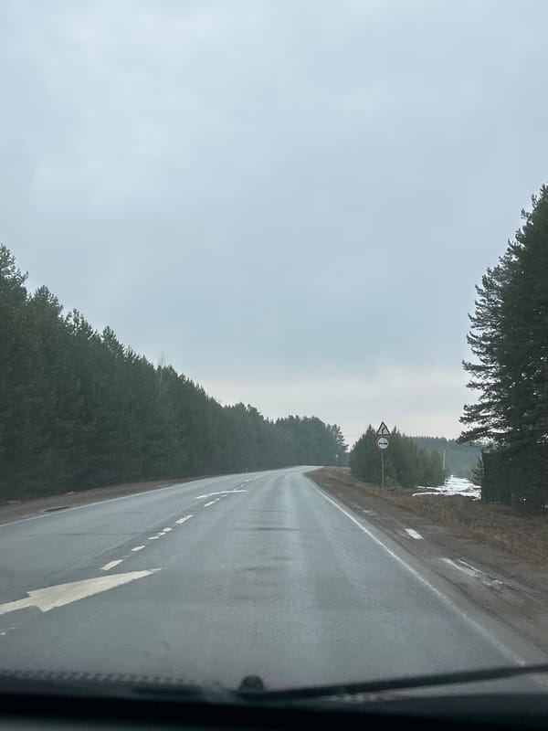Rain-soaked forest road documented near Foki, Russia