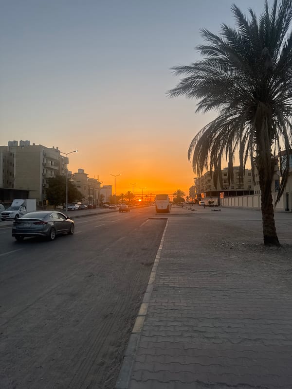 Sunset street scene with palm trees documented by witness