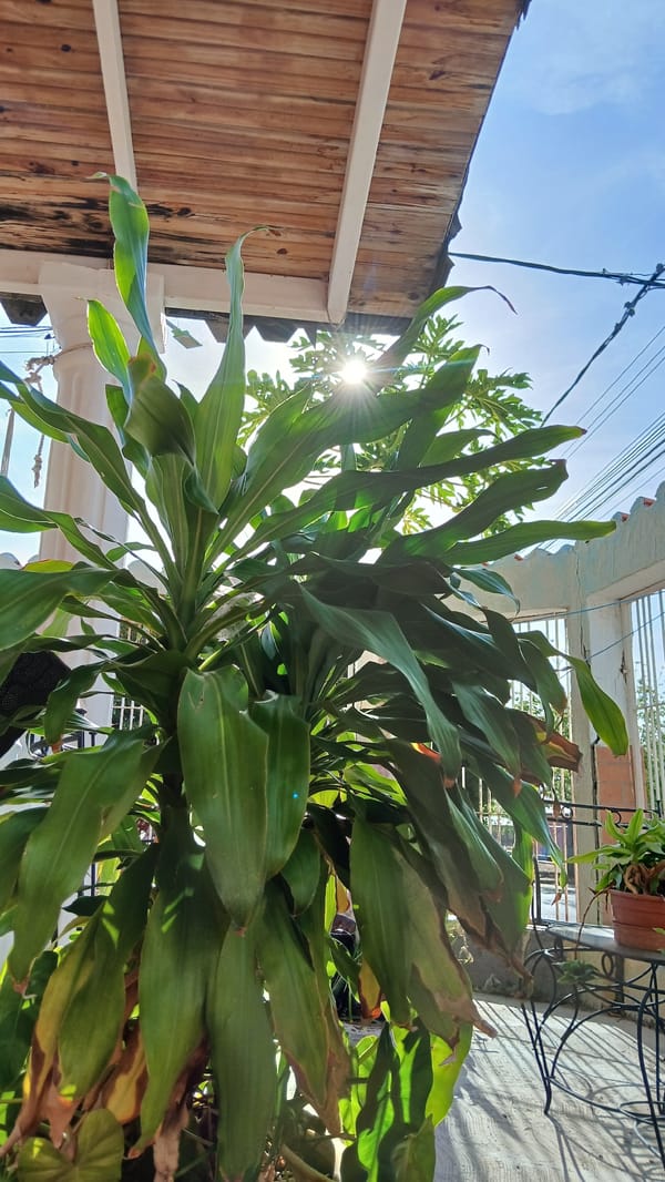 Quiet street scenes documented in Juan Griego, Venezuela