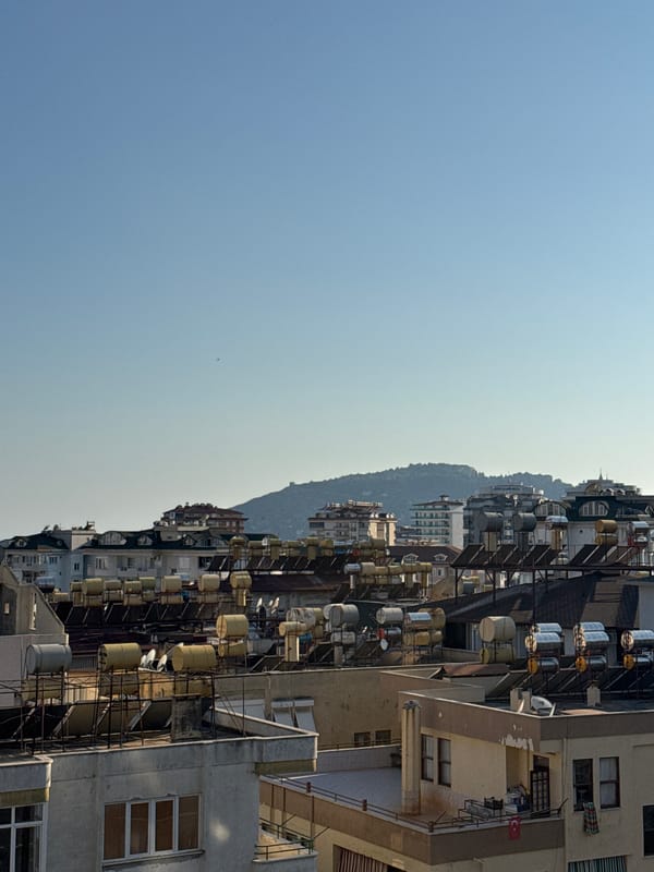 Alanya rooftops, coastal views, and a grey cat