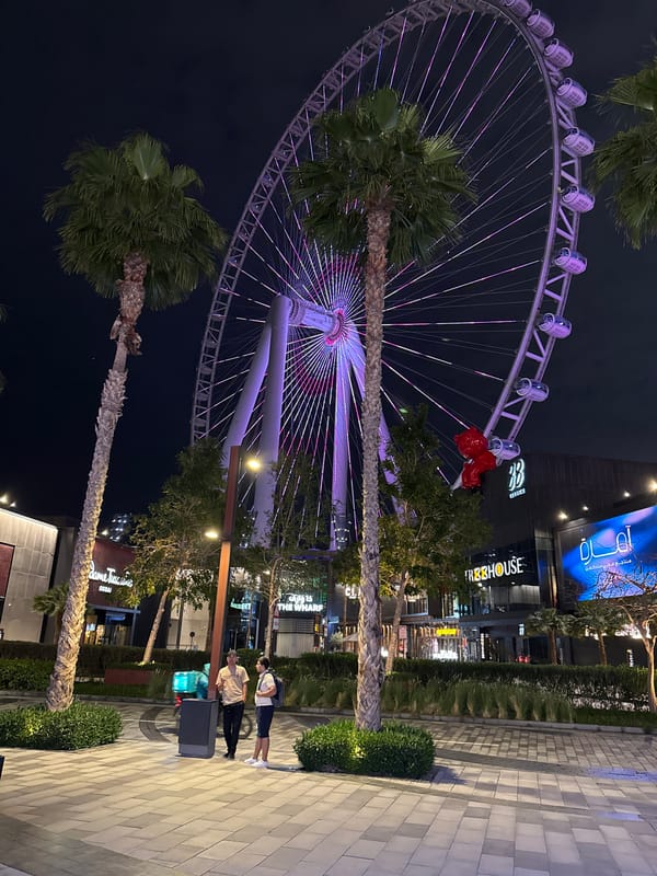 Ain Dubai ferris wheel glows blue and purple at night