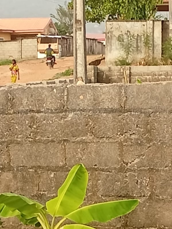Daily life documented on dirt roads in Adankolo, Nigeria
