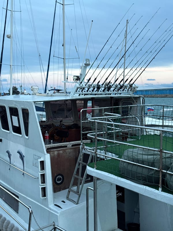Marina scenes and roadway documented in Sirius, Russia