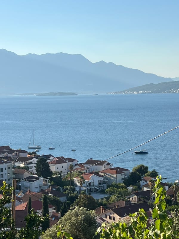 Cats, a dog, and Bay of Kotor views in Đenovići