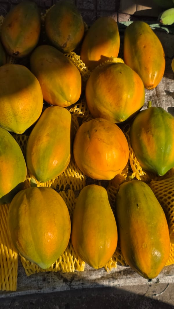Ripe papayas displayed at market stall in Nha Trang