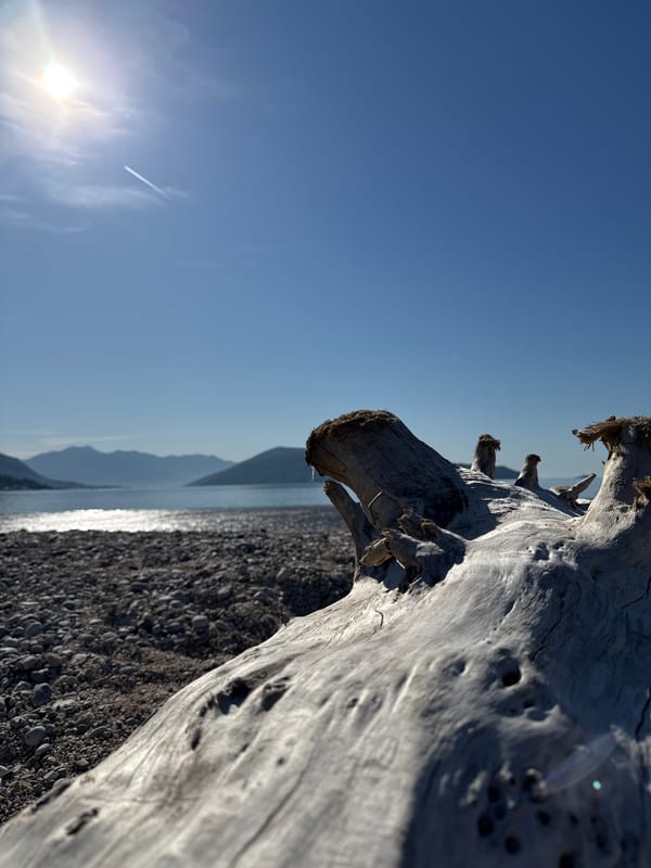 Witness documents peaceful morning coastal scenes in Igalo, Montenegro