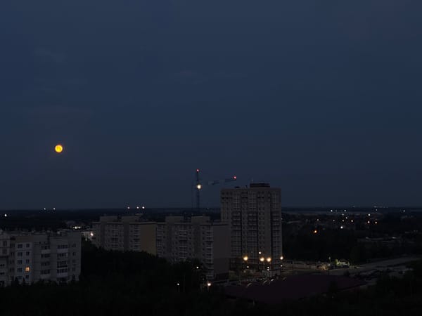 Omsk at dusk: rooftop views, a big moon, and a relaxed dog