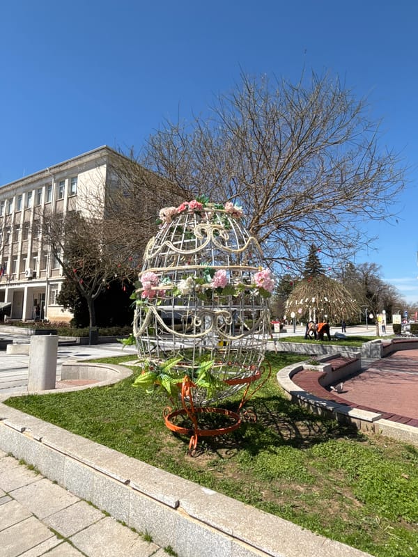 Floral wire orb decoration spotted on Silistra lawn