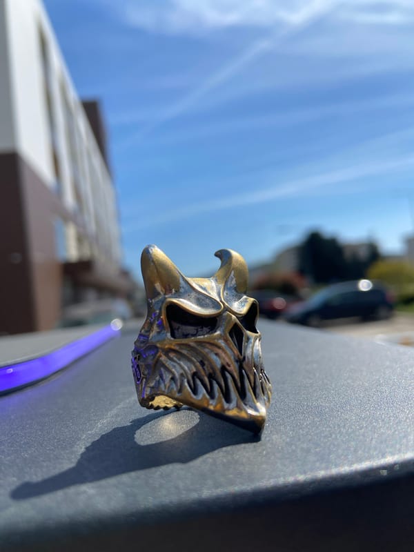 Brass eagle ornament spotted on metallic surface in Bar