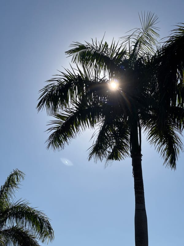 Palm-lined roads and a stone statue on a sunny Bali morning