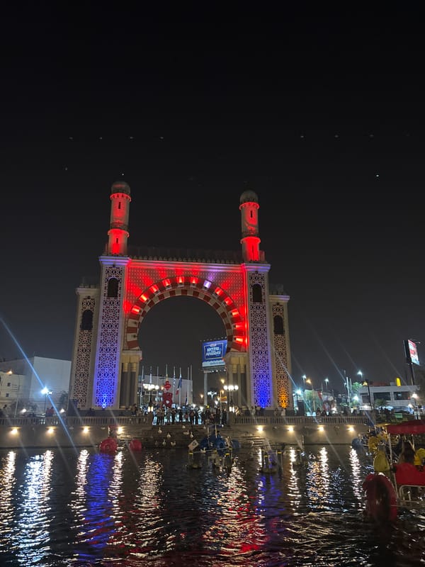 Nighttime duck watching at illuminated Santiago de Surco waterfront park