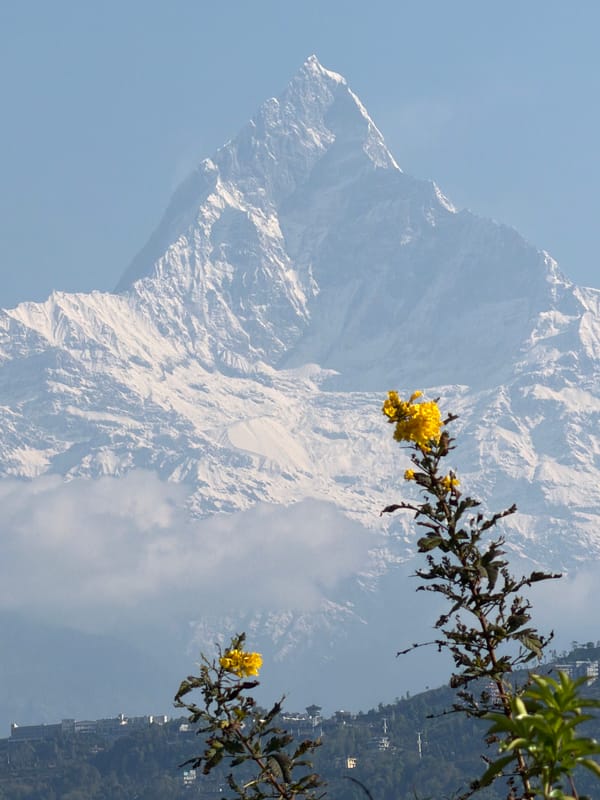 Morning scenes captured around Pokhara's mountains and Peace Pagoda