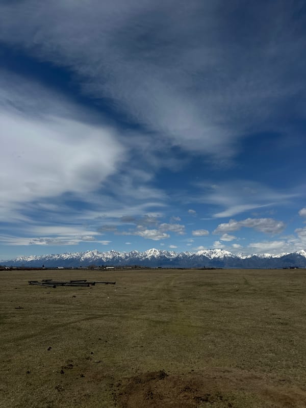 Clear landscape view captured in Galbai, Russia