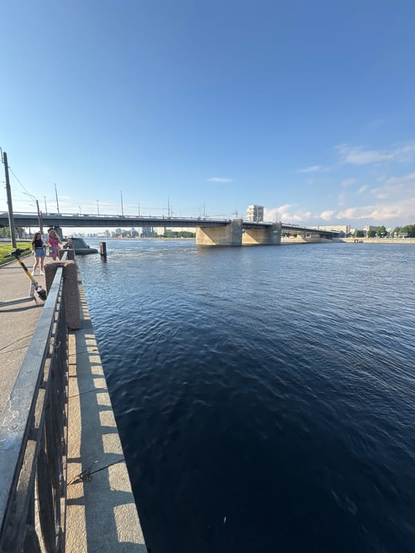 Busy summer afternoon along Saint Petersburg's Neva embankments