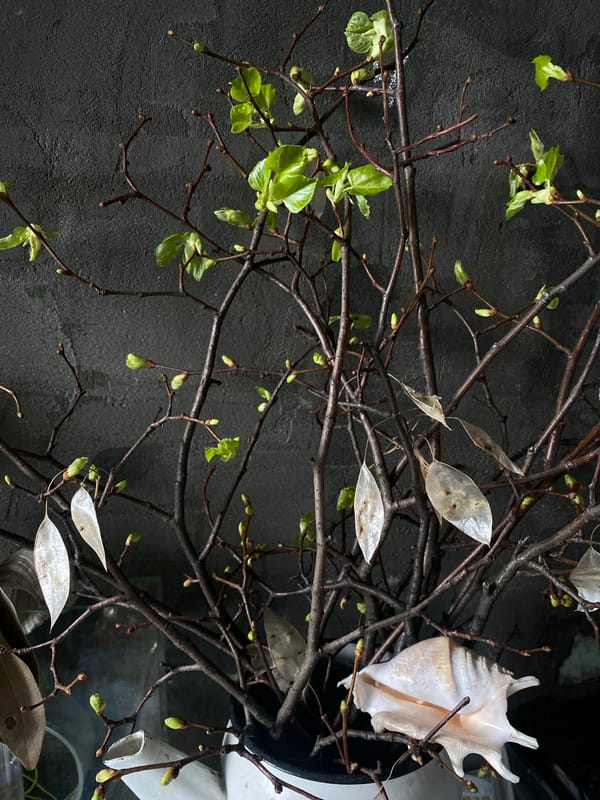 Spring botanical arrangement with conch shell documented in Khimki