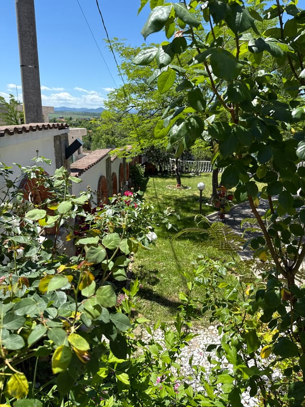 Garden scene captured in Haskovo, Bulgaria