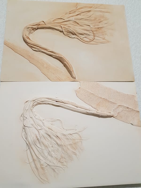 Ceramic botanical relief artworks documented in Saint Petersburg
