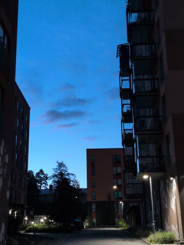 Evening walk through Vantaa neighborhoods and wildflower patches