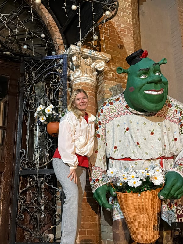 Kislovodsk after dark: Narzan Gallery, fountains, and a Shrek statue