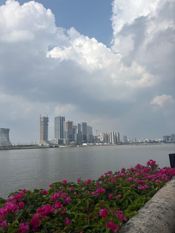 Tianhe District: riverside blooms and urban tennis courts