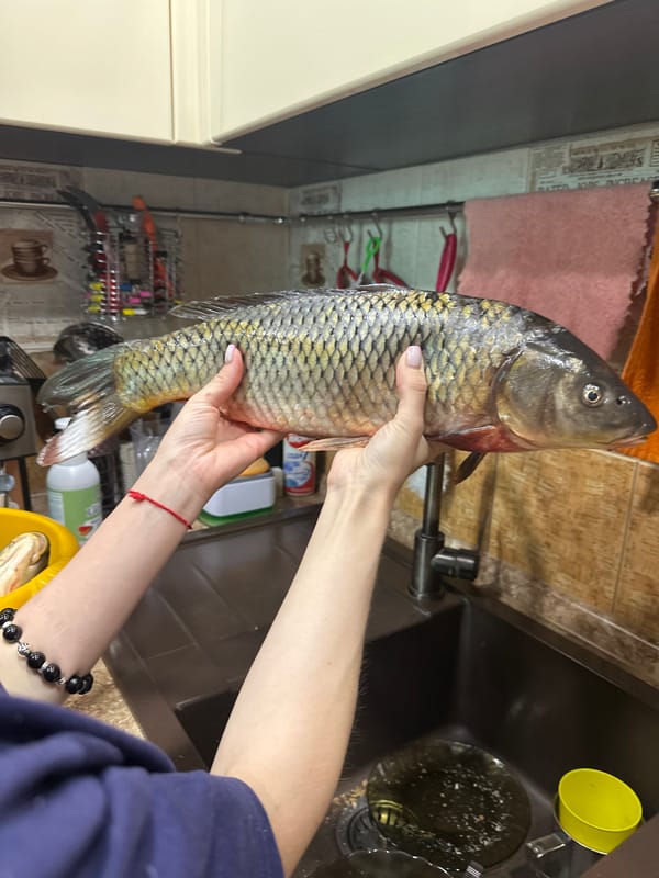 Domestic fish preparation documented in Sayanogorsk kitchen
