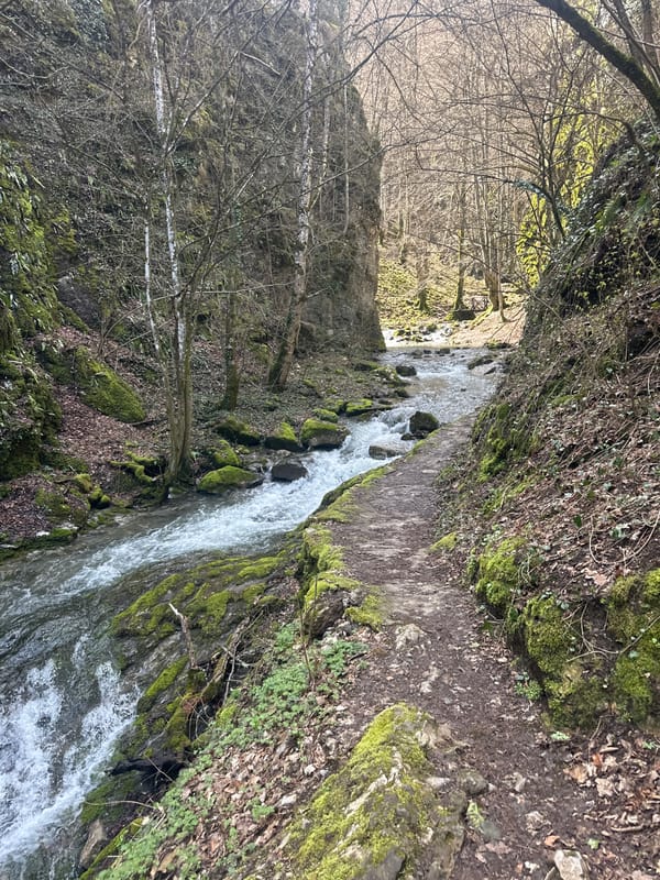 River and forest trail scenes documented in Teteven, Bulgaria