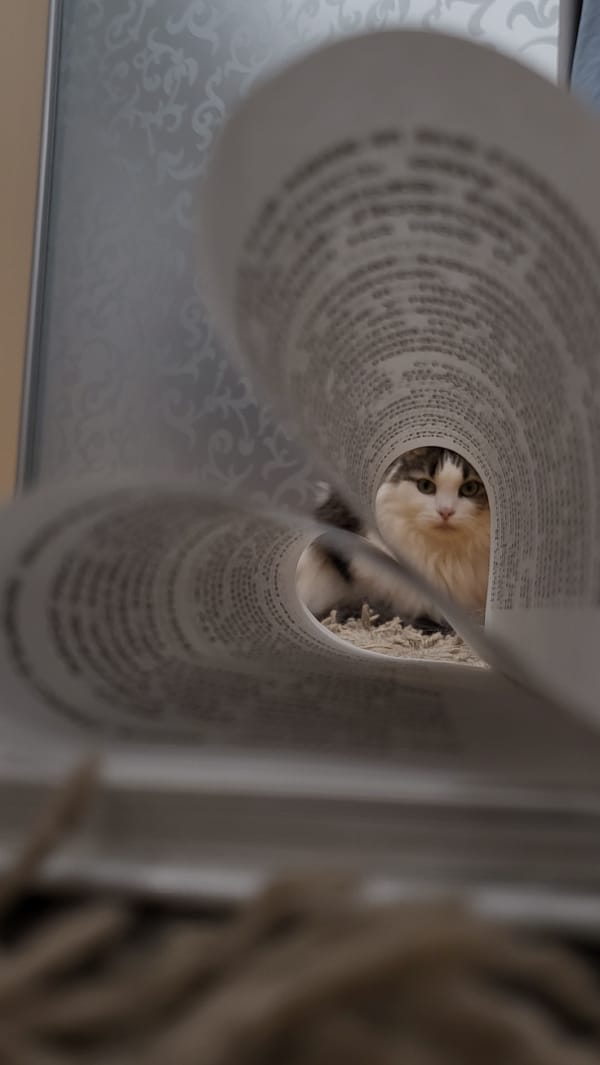 Everyday still lifes and snapshots from a home in Russia