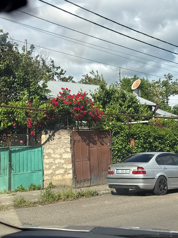 Early morning street scenes documented across Tbilisi neighborhoods