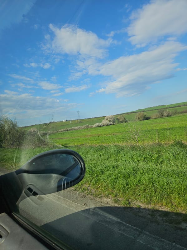 Morning drive through Bulgarian countryside captured from vehicle interior