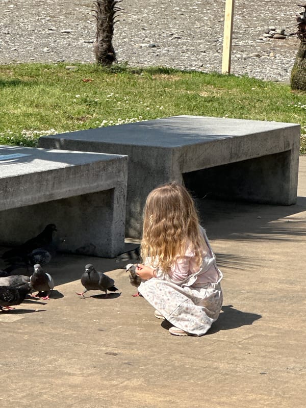 Morning life captured across Batumi's beaches, parks and streets