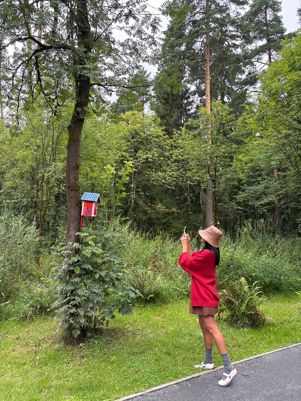 Adventure playground visit in Pavlovskaya Sloboda on a cloudy morning