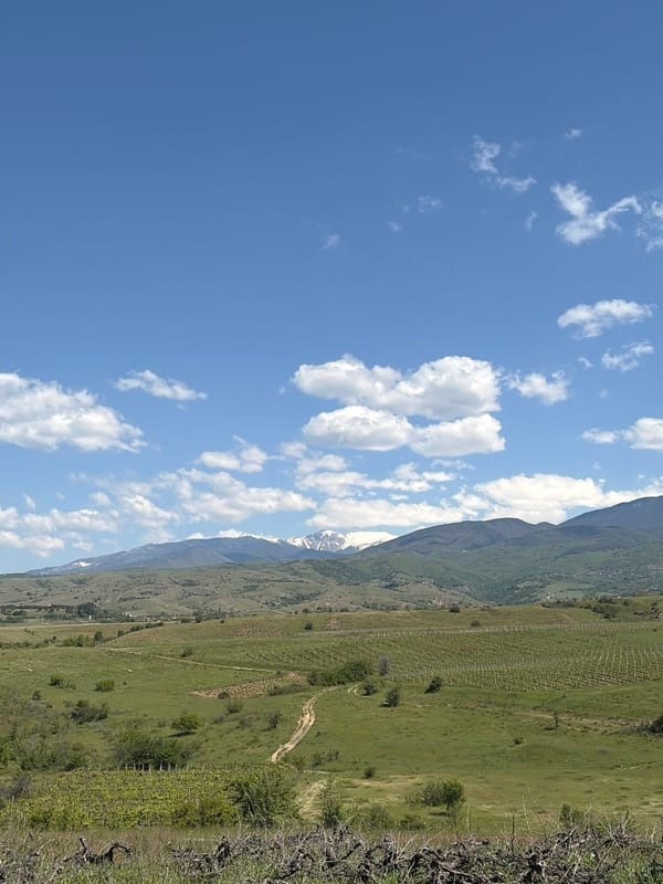 Mountain landscape with dirt path observed by witness