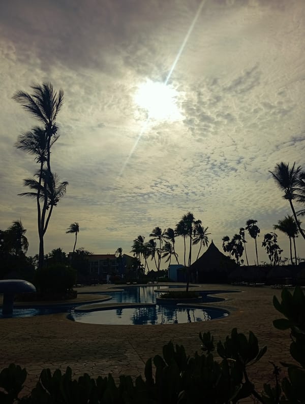 Resort scenes and dog captured at Playa El Agua