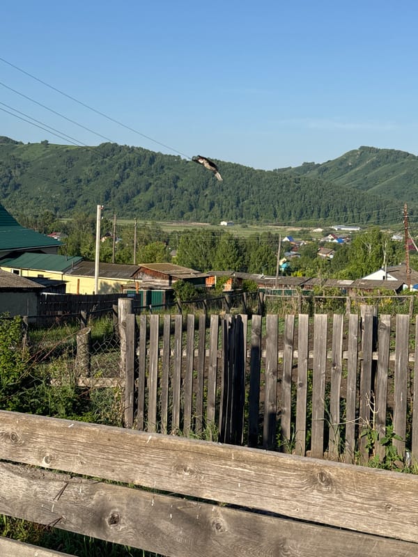 Daily life documented in rural Russian village Soloneshnoye