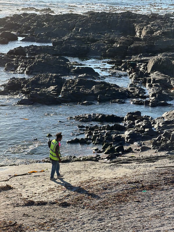 Sunday afternoon leisure activities captured across Cape Town coastal park