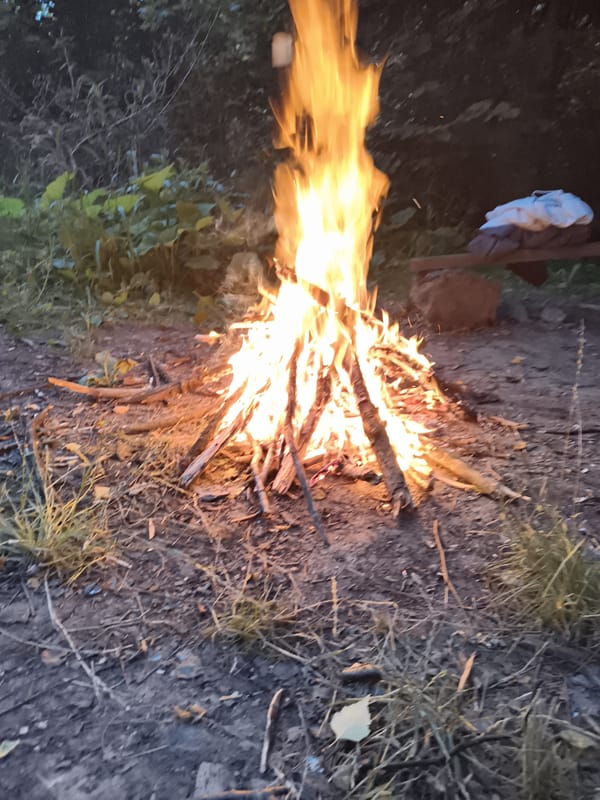 Campfire burning in a forest at dusk