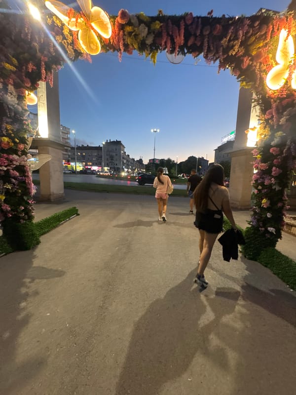 Illuminated floral archway with butterfly lights spotted in Shumen