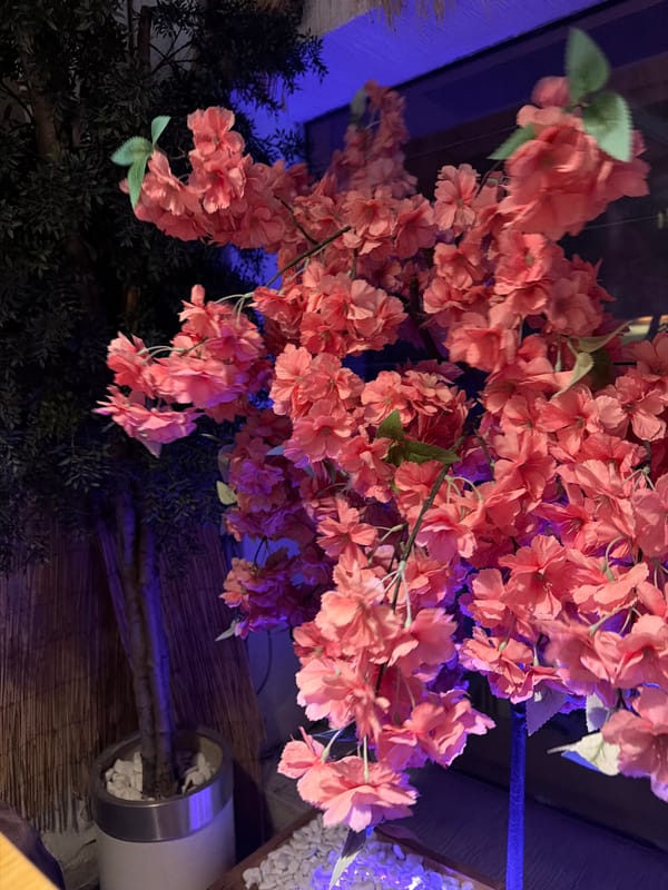 Evening dining scene captured at decorated Plovdiv restaurant