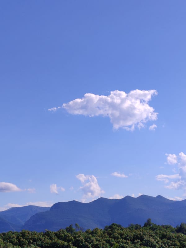 Mountain views and overgrown vegetation in Vratsa Bulgaria
